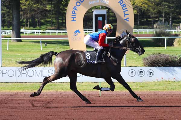 Photo d'arrivée de la course pmu PRIX DE MARSEILLE à LYON PARILLY le Mercredi 8 avril 2026
