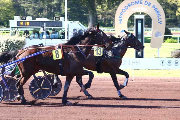 Photo d'arrivée de la course pmu PRIX HENRI CALLIER à LYON PARILLY le Mercredi 8 avril 2026