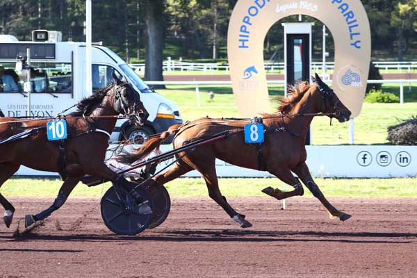 Photo d'arrivée de la course pmu PRIX DE CABOURG à LYON PARILLY le Mercredi 8 avril 2026