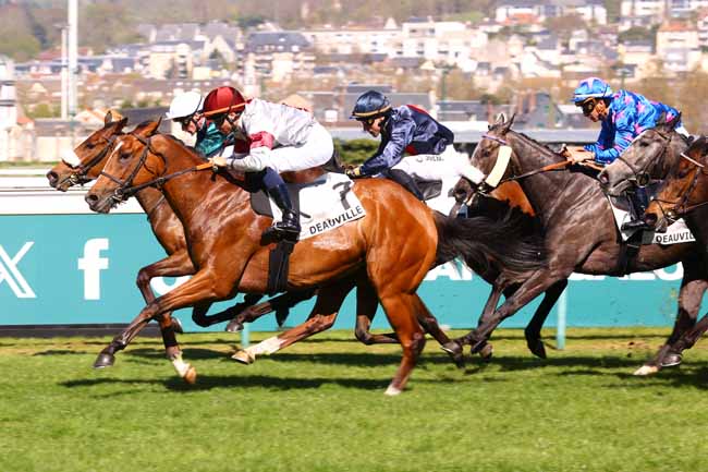Photo d'arrivée de la course pmu PRIX DU MOULIN BRULE à DEAUVILLE le Mercredi 8 avril 2026