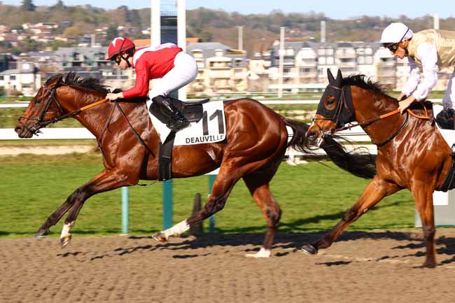 Photo d'arrivée de la course pmu PRIX DU RAZ BLANCHARD à DEAUVILLE le Mercredi 8 avril 2026
