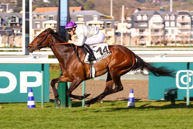 Photo d'arrivée de la course pmu PRIX DU VIEUX MARONNIER à DEAUVILLE le Mercredi 8 avril 2026