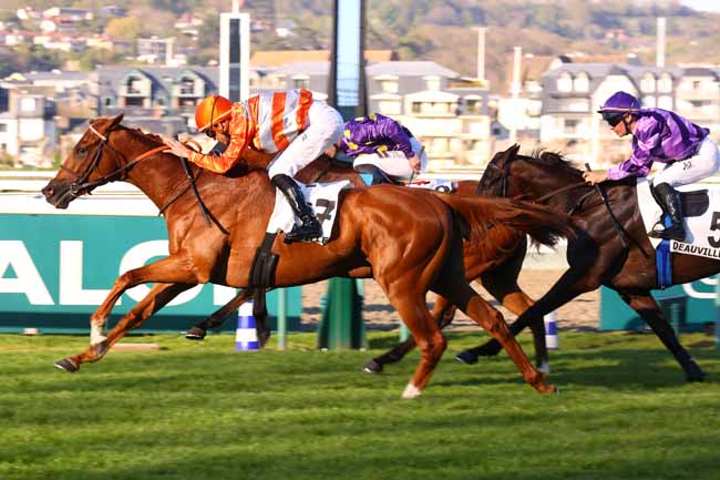 Photo d'arrivée de la course pmu PRIX DE LESSARD-ET-LE-CHENE à DEAUVILLE le Mercredi 8 avril 2026