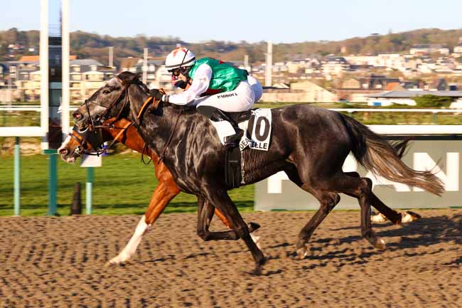 Photo d'arrivée de la course pmu PRIX DU CAP LEVY à DEAUVILLE le Mercredi 8 avril 2026
