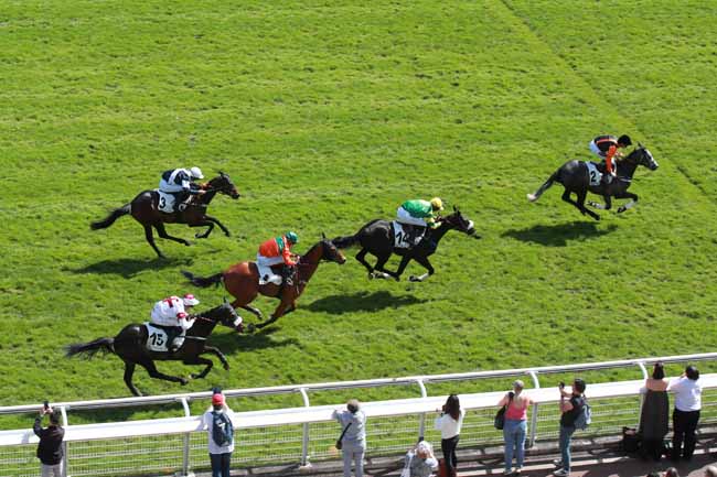 Arrivée quinté pmu PRIX OISELEUR à AUTEUIL