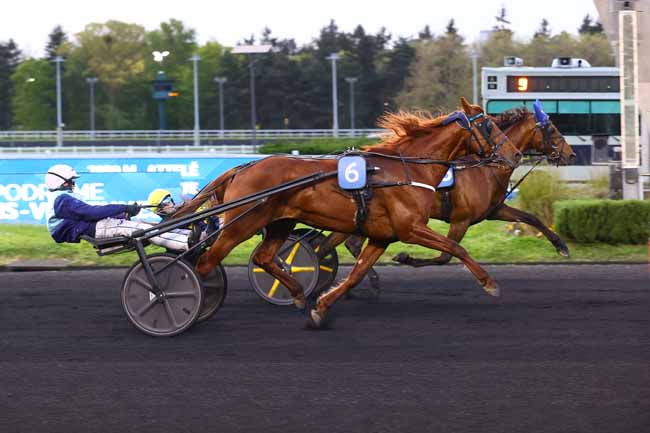 Arrivée quinté pmu PRIX ARIEL à PARIS-VINCENNES
