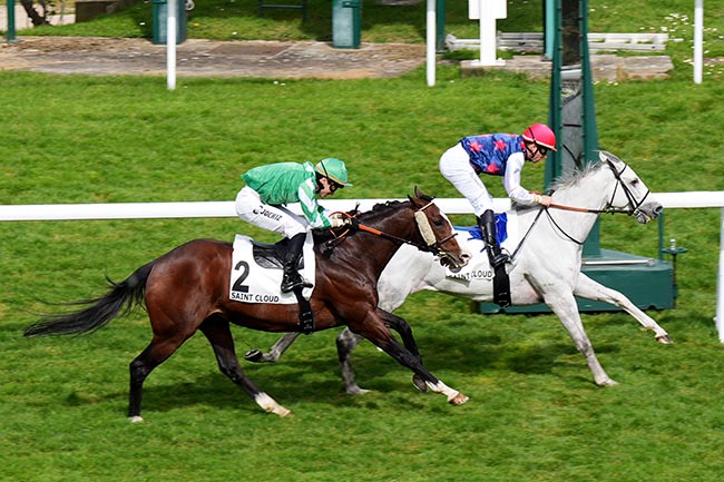 Photo d'arrivée de la course pmu PRIX DU CHEMIN DU MOULIN à SAINT CLOUD le Vendredi 10 avril 2026