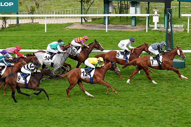 Photo d'arrivée de la course pmu PRIX DU LIEU MARMION à SAINT CLOUD le Vendredi 10 avril 2026