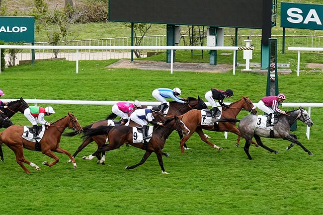 Photo d'arrivée de la course pmu PRIX DU PARC DE BECON à SAINT CLOUD le Vendredi 10 avril 2026