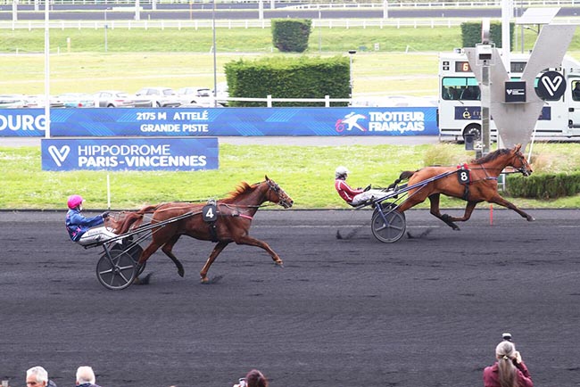 Photo d'arrivée de la course pmu PRIX DE WISSEMBOURG à PARIS-VINCENNES le Samedi 11 avril 2026