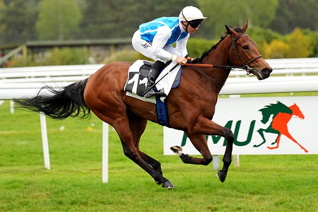 Photo d'arrivée de la course pmu PRIX LEXUS TEAM COLIN (PRIX DES HETRES) à FONTAINEBLEAU le Samedi 11 avril 2026