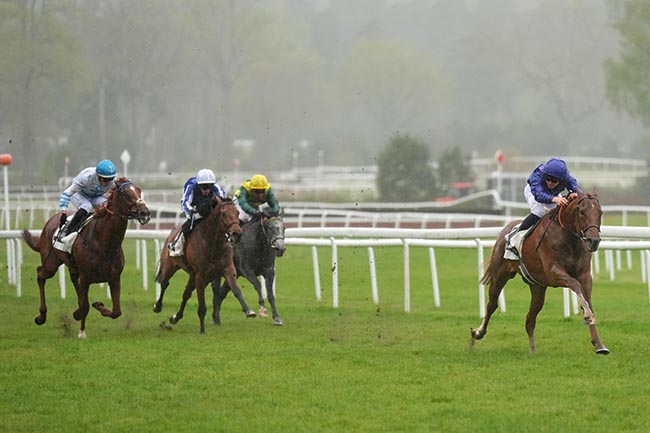Photo d'arrivée de la course pmu PRIX DES ANIMATIONS PMU (PRIX DE LA PLAINE DES SABLONS) à FONTAINEBLEAU le Samedi 11 avril 2026