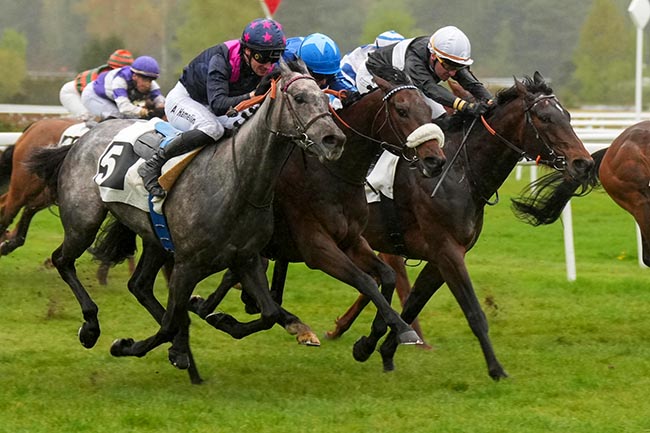 Photo d'arrivée de la course pmu PRIX DE LA COUR DES ADIEUX à FONTAINEBLEAU le Samedi 11 avril 2026