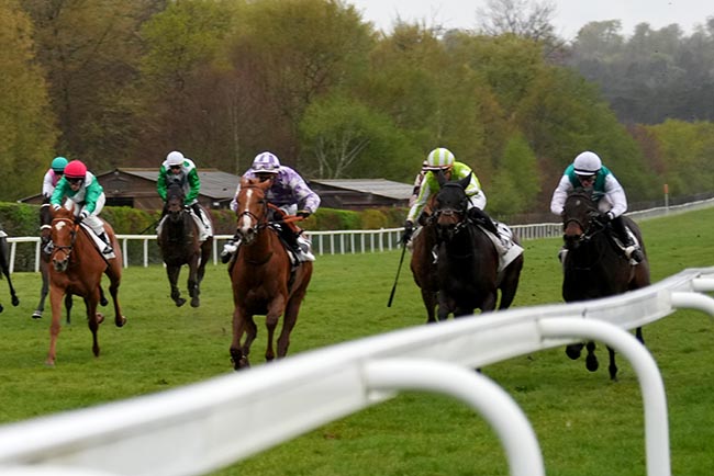 Photo d'arrivée de la course pmu PRIX RADIO EVASION (PRIX DE LA FORET DES TROIS PIGNONS) à FONTAINEBLEAU le Samedi 11 avril 2026