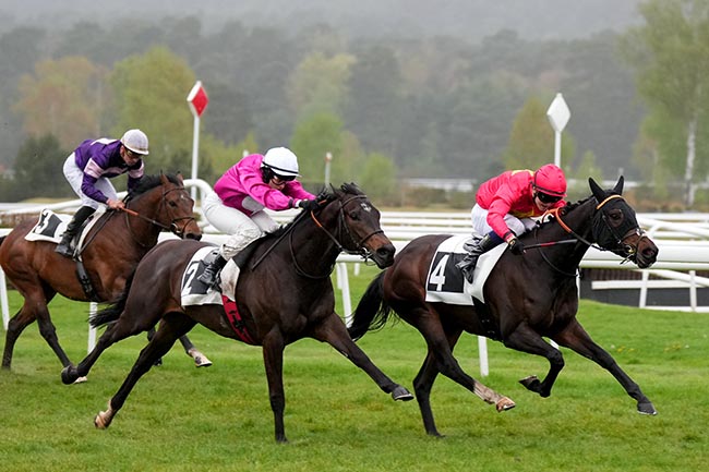 Photo d'arrivée de la course pmu PRIX YVES SAINT-MARTIN à FONTAINEBLEAU le Samedi 11 avril 2026