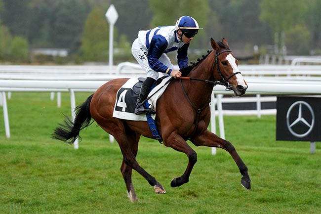 Photo d'arrivée de la course pmu PRIX DE L'AFASEC (PRIX DU LONG ROCHER) à FONTAINEBLEAU le Samedi 11 avril 2026