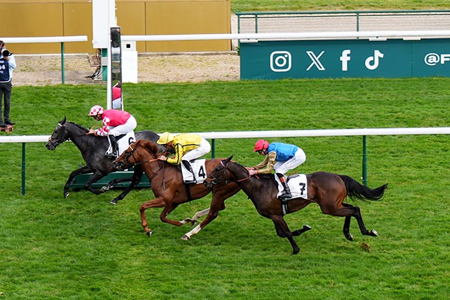Photo d'arrivée de la course pmu PRIX LORD SEYMOUR à LONGCHAMP le Dimanche 12 avril 2026