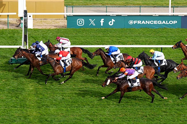 Photo d'arrivée de la course pmu PRIX DE LA MUETTE à LONGCHAMP le Dimanche 12 avril 2026