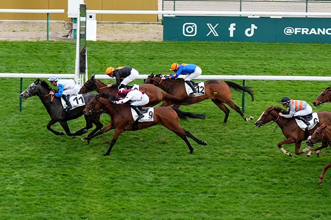 Photo d'arrivée de la course pmu PRIX DU PAVILLON DAUPHINE à LONGCHAMP le Dimanche 12 avril 2026