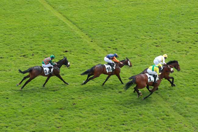 Arrivée quinté pmu PRIX GASTON BRANERE à AUTEUIL