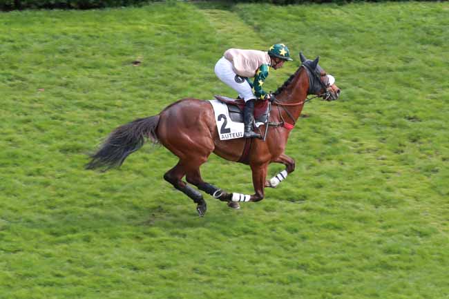 Photo d'arrivée de la course pmu PRIX ANDRE GIRARD à AUTEUIL le Lundi 13 avril 2026