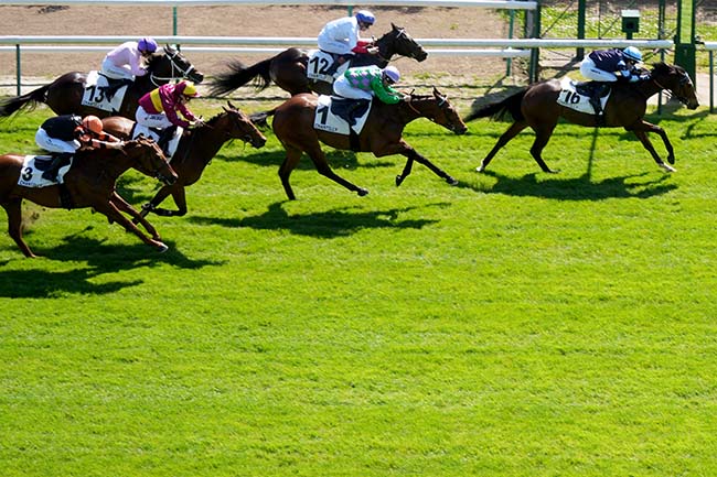 Arrivée quinté pmu PRIX DE ROISSY à CHANTILLY