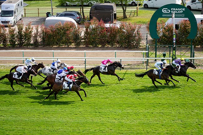 Photo d'arrivée de la course pmu PRIX DE L'HELICOPTERE PESCARA à CHANTILLY le Mardi 14 avril 2026