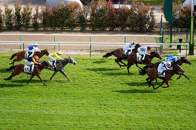 Photo d'arrivée de la course pmu PRIX DU PAVE DE LA BICHE à CHANTILLY le Mardi 14 avril 2026