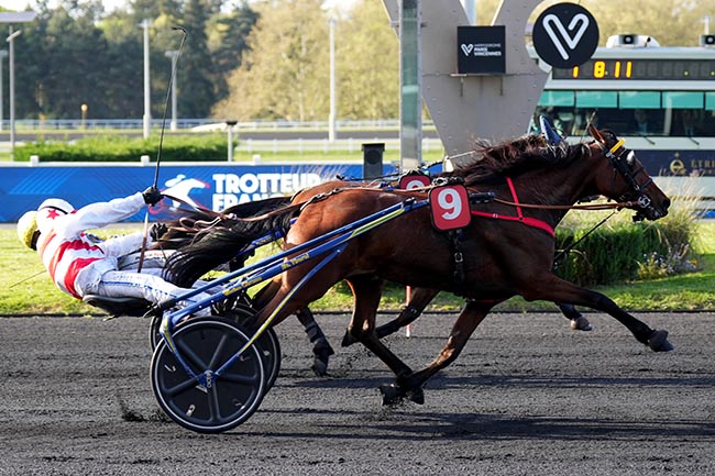 Photo d'arrivée de la course pmu PRIX BAMBERGA à PARIS-VINCENNES le Mardi 14 avril 2026