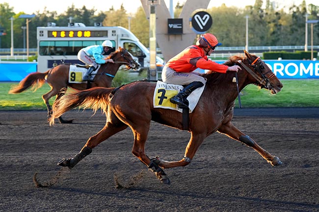 Photo d'arrivée de la course pmu PRIX EUPHROSYNE à PARIS-VINCENNES le Mardi 14 avril 2026