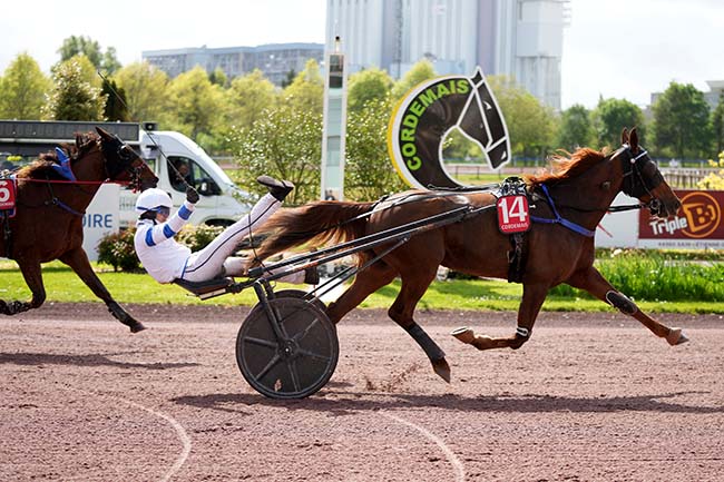 Photo d'arrivée de la course pmu PRIX PMU + à CORDEMAIS le Mercredi 15 avril 2026