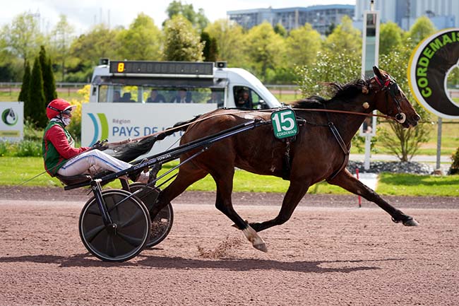 Arrivée quinté pmu PRIX DE LA COMMUNE DE CORDEMAIS (PRIX DES CAMELIAS) à CORDEMAIS