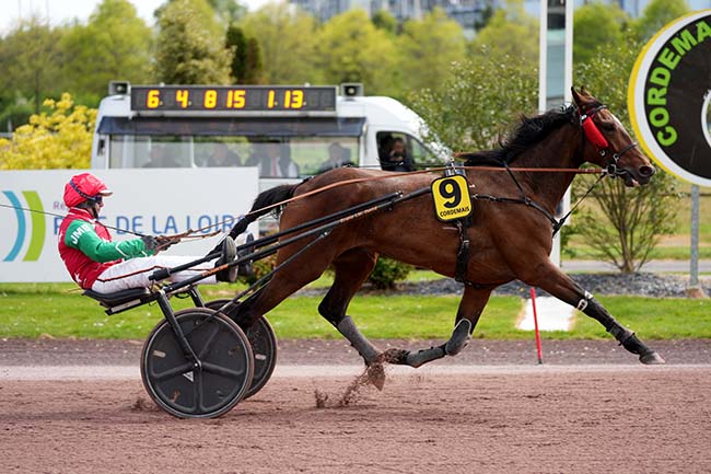 Arrivée quinté pmu PRIX DE LA COMMUNAUTE DE COMMUNES ESTUAIRE ET SILLON (PRIX DES ARUMS) à CORDEMAIS