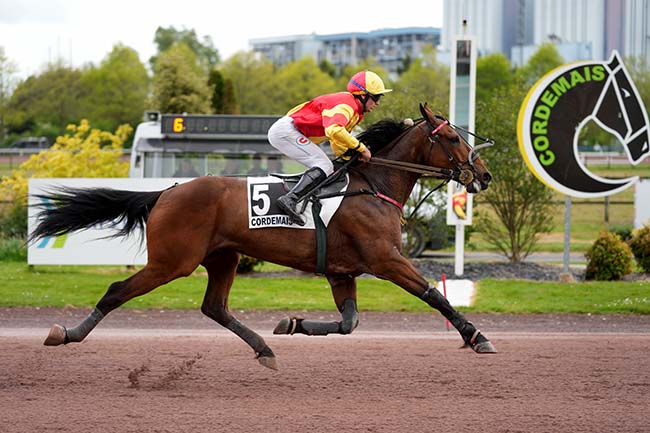 Photo d'arrivée de la course pmu PRIX DE LA COMMUNE DE SAVENAY (PRIX DES LILAS) à CORDEMAIS le Mercredi 15 avril 2026