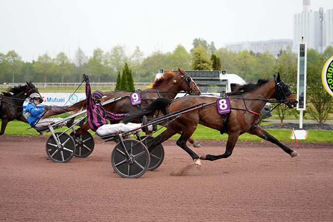 Photo d'arrivée de la course pmu PRIX DU PMU LE LIGERIEN (PRIX DES ORCHIDEES) à CORDEMAIS le Mercredi 15 avril 2026