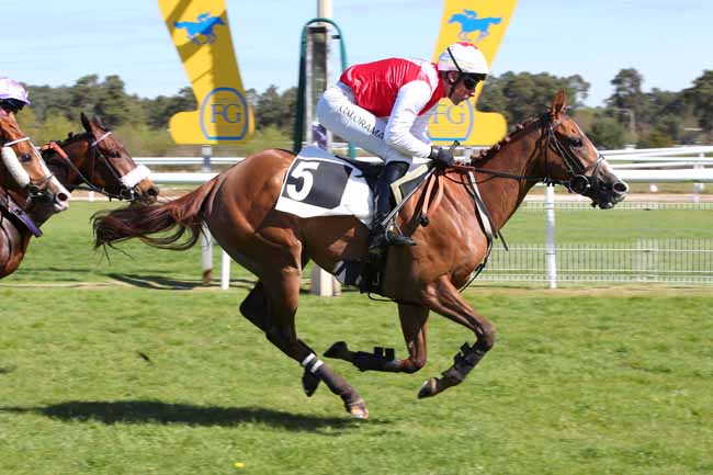 Photo d'arrivée de la course pmu PRIX DE LA TOUR DENECOURT à FONTAINEBLEAU le Mercredi 15 avril 2026