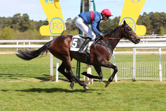 Photo d'arrivée de la course pmu PRIX DE LA MARE A PIAT à FONTAINEBLEAU le Mercredi 15 avril 2026