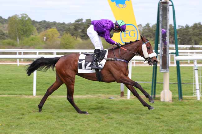 Photo d'arrivée de la course pmu PRIX D'ENGHIEN à FONTAINEBLEAU le Mercredi 15 avril 2026