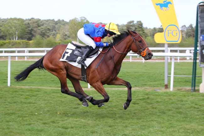 Photo d'arrivée de la course pmu PRIX DE LA SOCIETE DES COURSES DE MOULINS à FONTAINEBLEAU le Mercredi 15 avril 2026