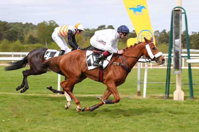 Photo d'arrivée de la course pmu PRIX DU REGIMENT DE CAVALERIE DE LA GARDE REPUBLICAINE à FONTAINEBLEAU le Mercredi 15 avril 2026