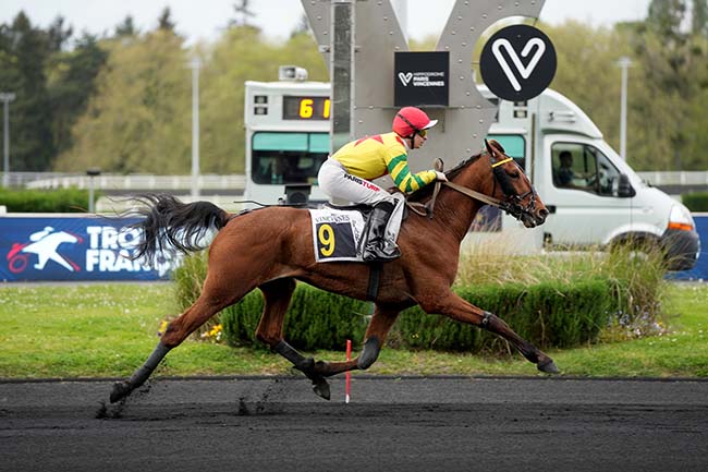 Photo d'arrivée de la course pmu PRIX THEOPHILE LALLOUET à PARIS-VINCENNES le Vendredi 17 avril 2026