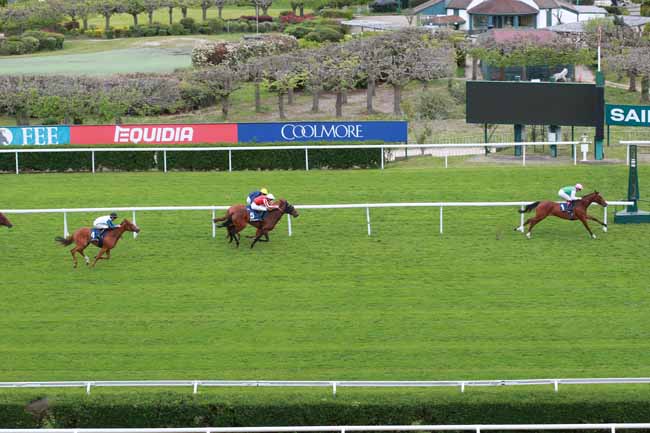 Photo d'arrivée de la course pmu HENRI MATISSE COOLMORE PRIX CLEOPATRE à SAINT CLOUD le Vendredi 17 avril 2026
