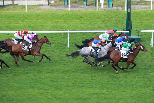 Photo d'arrivée de la course pmu PRIX DES PYRENEES-ORIENTALES à SAINT CLOUD le Vendredi 17 avril 2026