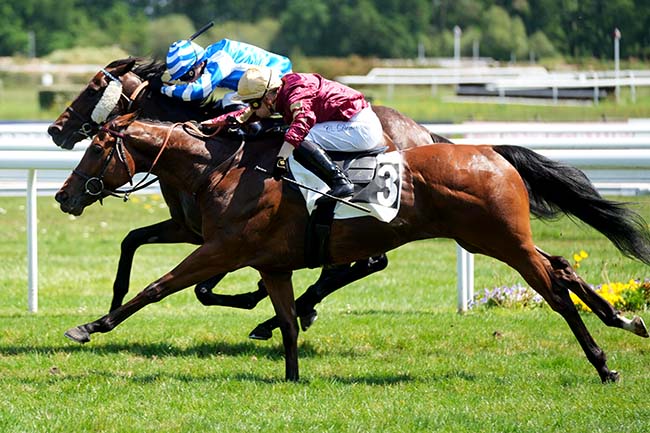 Arrivée quinté pmu HANDICAP DE BORDEAUX à BORDEAUX-LE BOUSCAT