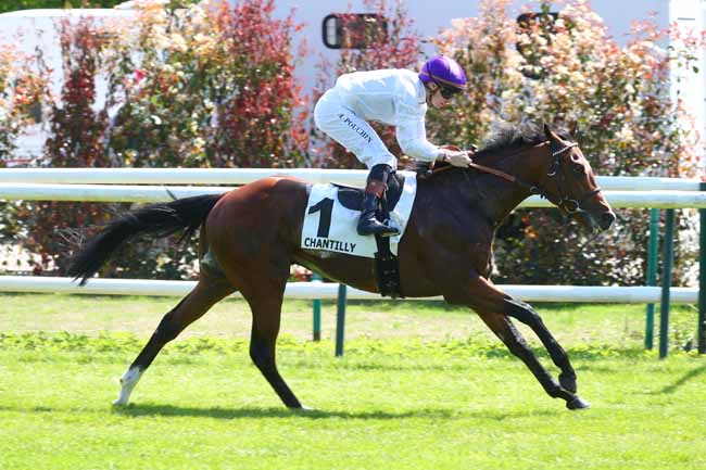 Photo d'arrivée de la course pmu PRIX DE LA SALLE DU SANGLIER à CHANTILLY le Mardi 28 avril 2026