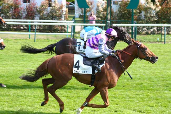 Photo d'arrivée de la course pmu PRIX DE CHAMANT à CHANTILLY le Mardi 28 avril 2026