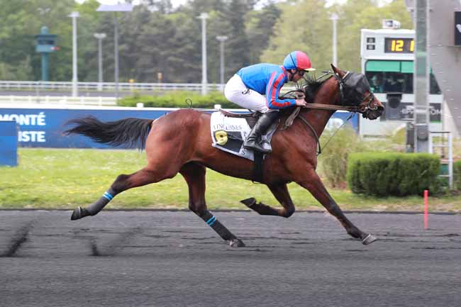 Photo d'arrivée de la course pmu PRIX HARMONIA à PARIS-VINCENNES le Mardi 28 avril 2026