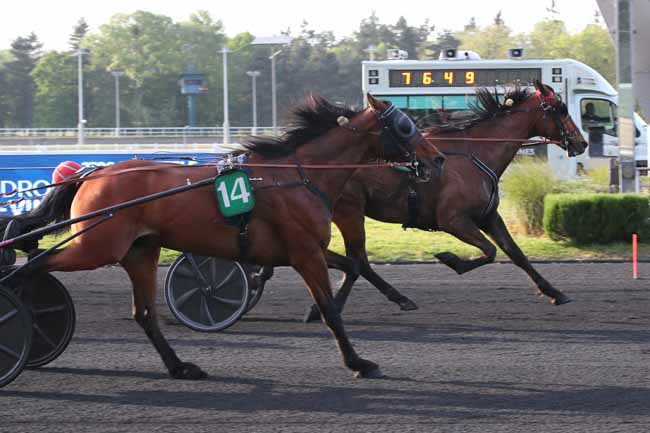 Photo d'arrivée de la course pmu PRIX ALMAK à PARIS-VINCENNES le Mardi 28 avril 2026