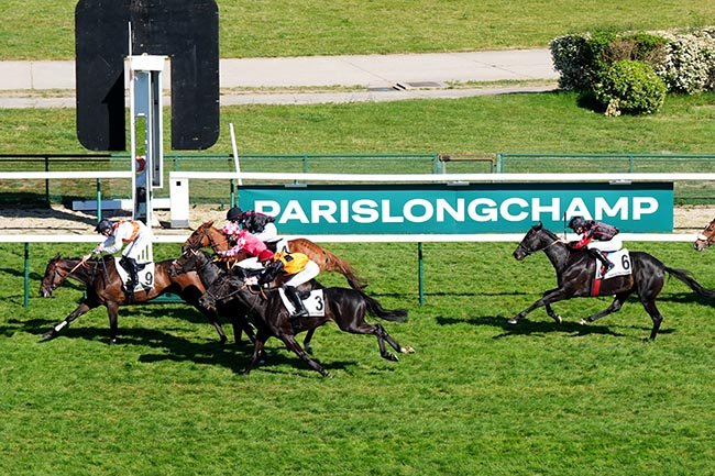 Photo d'arrivée de la course pmu PRIX DE LA VIEILLE TOUR à LONGCHAMP le Jeudi 30 avril 2026