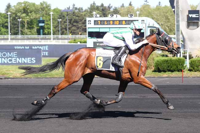 Photo d'arrivée de la course pmu PRIX DE SOISSONS à PARIS-VINCENNES le Jeudi 30 avril 2026